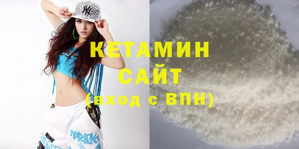 индика Няндома